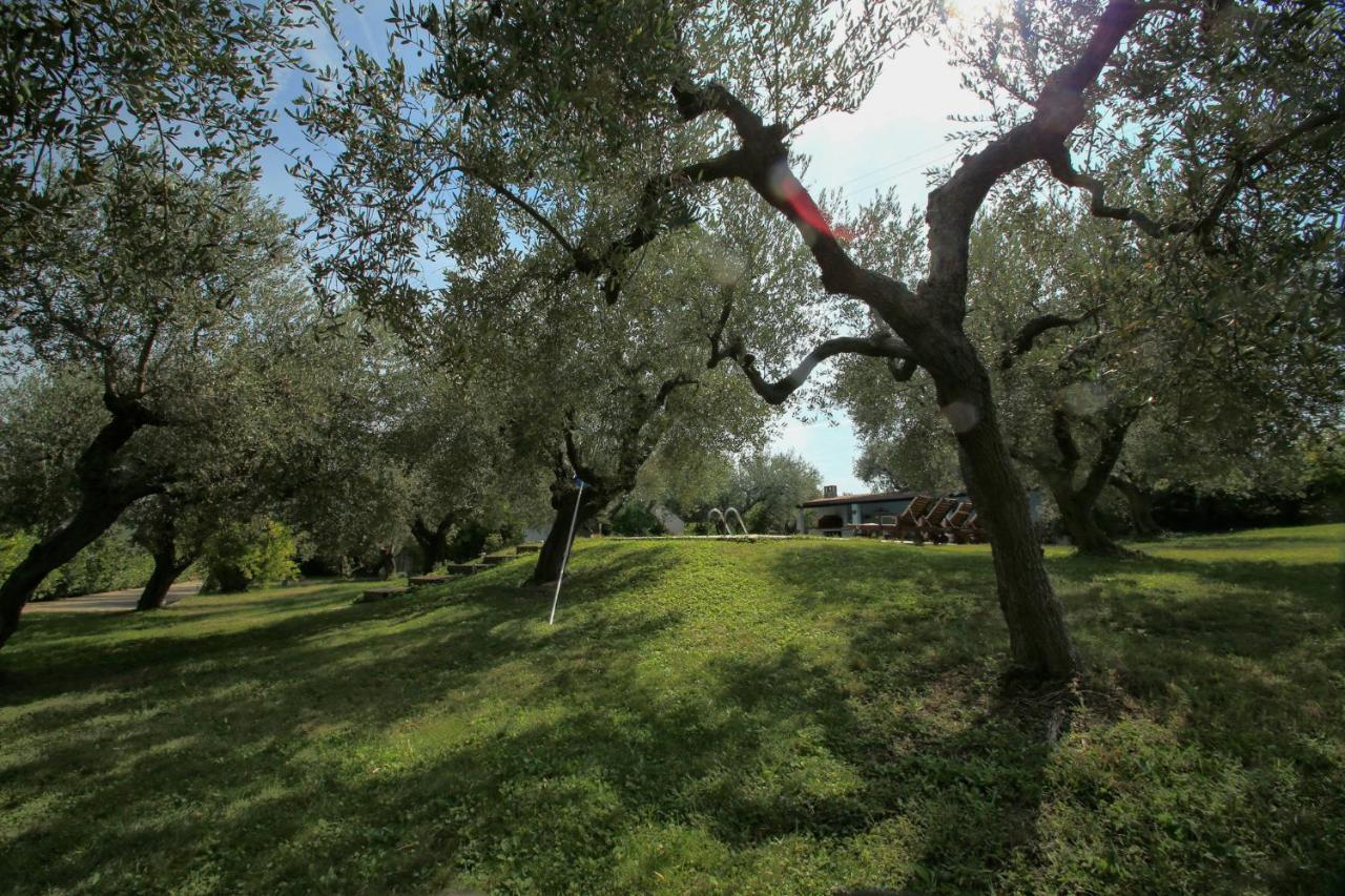 B&B Arli Torrevecchia Teatina Exterior foto
