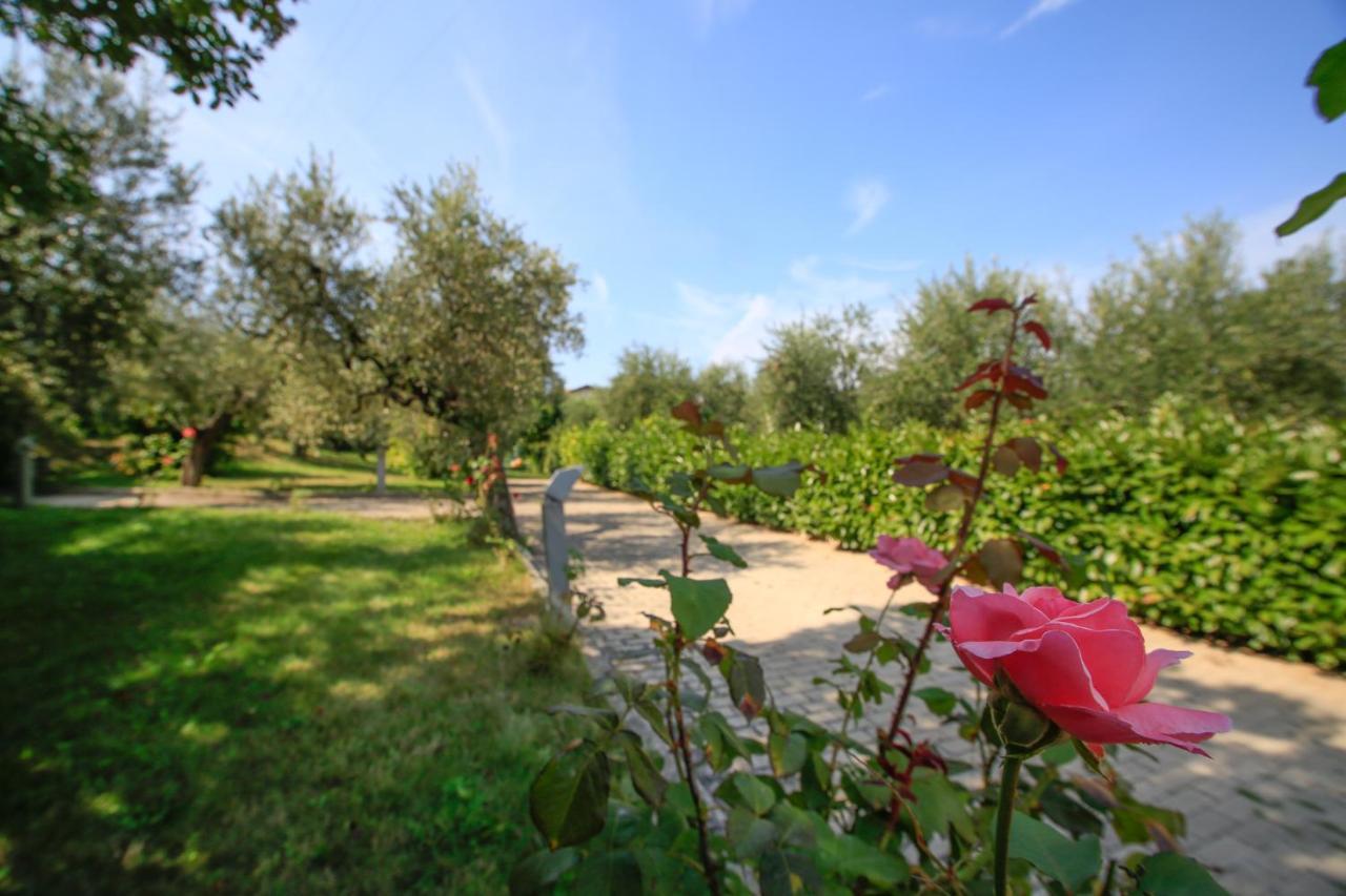 B&B Arli Torrevecchia Teatina Exterior foto